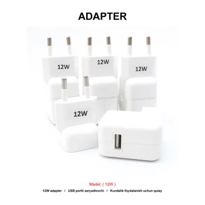 ADAPTER IPAD (12W)