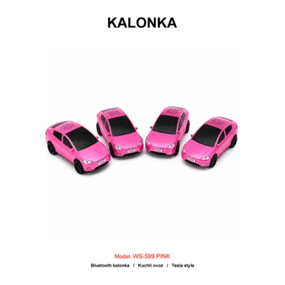 KALONKA WS-599 PINK
