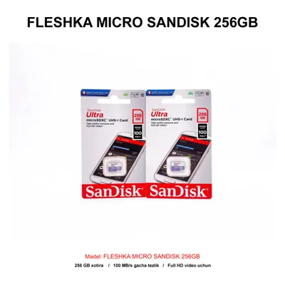 FLESHKA MICRO SANDISK 256GB