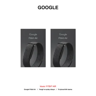 GOOGLE FITBIT AIR GA09509