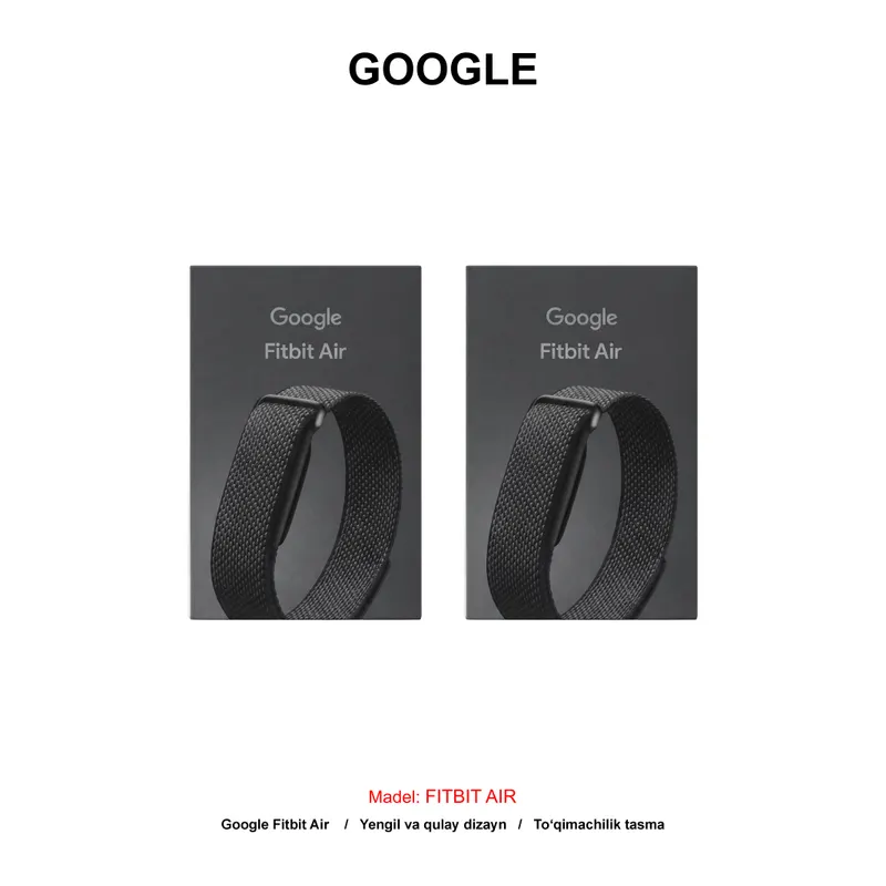 GOOGLE FITBIT AIR GA09509